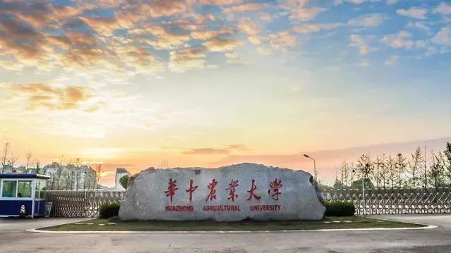 微信图片_20201116164945.jpg